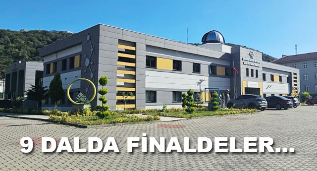 9 DALDA F�NALDELER