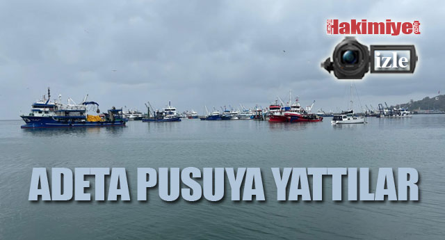 ADETA PUSUYA YATTILAR!