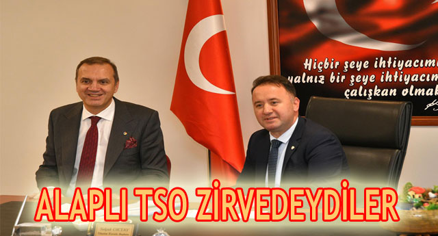 ALAPLI TSO Z�RVEDEYD�LER