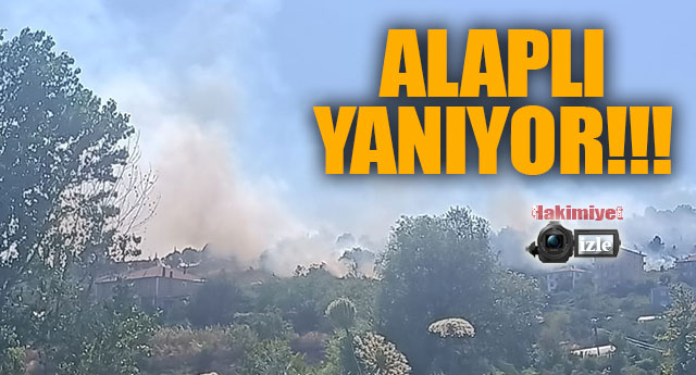 ALAPLI YANIYOR!!!