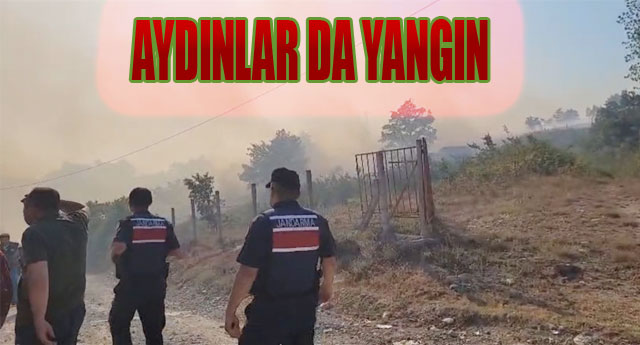 AYDINLARDA YANGIN