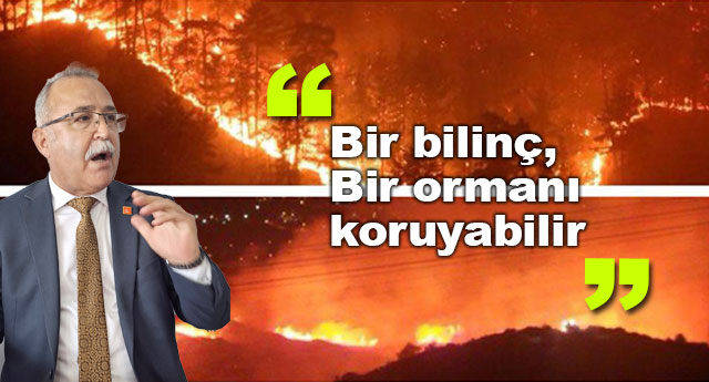 BR BLN, BR ORMANI KORUYABLR