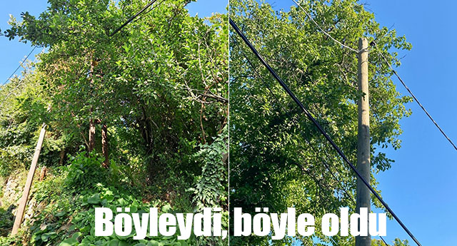 BYLEYD, BYLE OLDU!