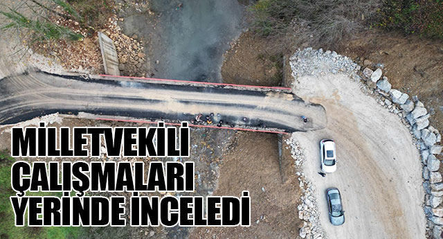 ALIMALARI YERNDE NCELED