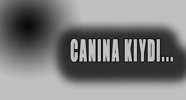 CANINA KIYDI...