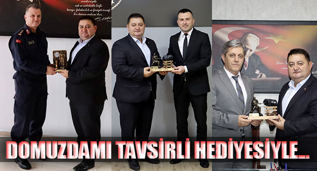 DOMUZDAMI TAVS�RL� HED�YES�YLE�