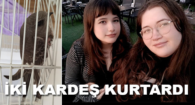 EBAB�L KU�U ARTIK �ZG�R!