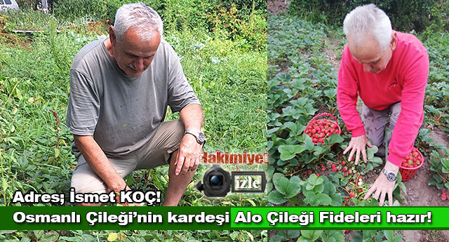 ��LEK F�DELER�N�Z HAZIR!