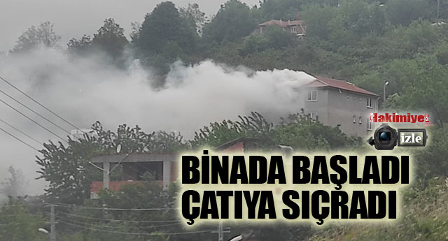 TFAYE HIZIR GB YETT!