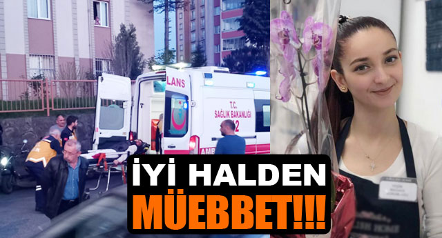 Y HALDEN MEBBET!!!