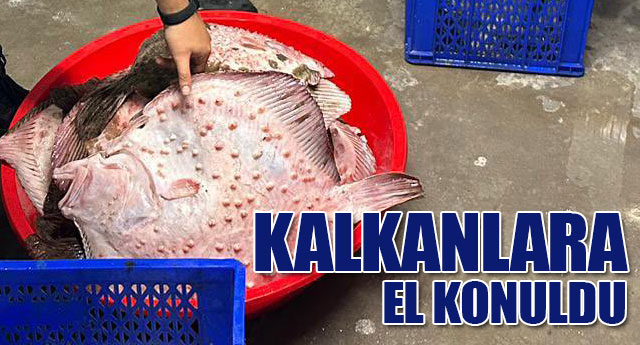 KALKANLARA EL KONULDU