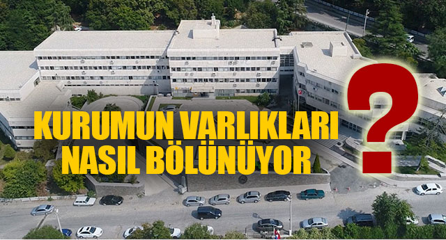 KURUMUN VARLIKLARI NASIL BLNYOR?