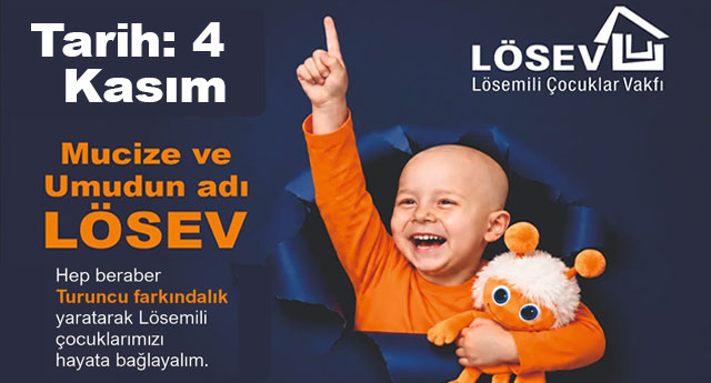 L�SEVE DESTEK ���N�