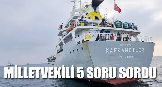 MLLETVEKL 5 SORU SORDU