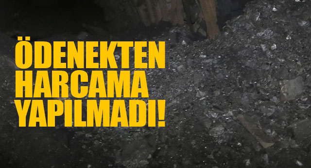DENEKTEN HARCAMA YAPILMADI!