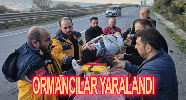 ORMANCILAR YARALANDI