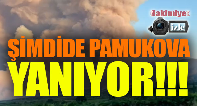 SAKARYADA ORMANLAR YANIYOR