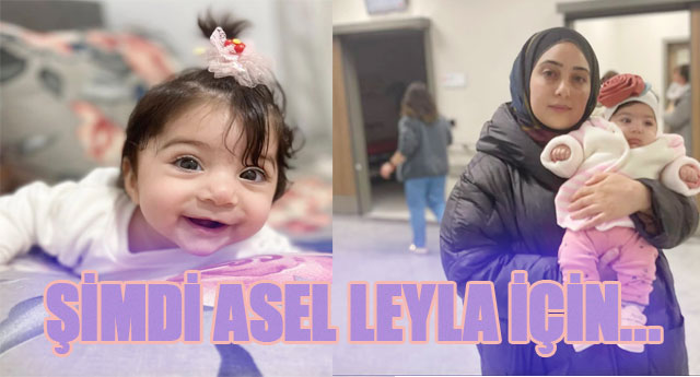 MD ASEL LEYLA N...