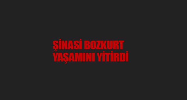 ��NAS� BOZKURT YA�AMINI Y�T�RD�
