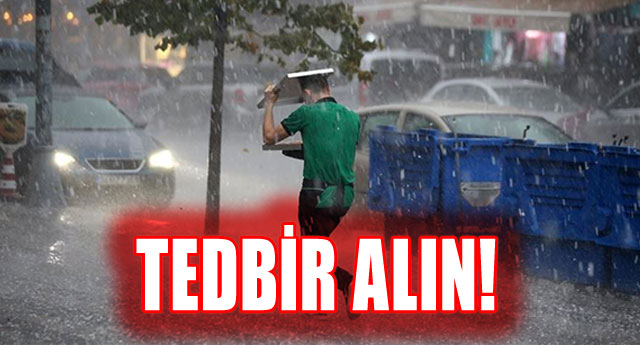 TEDBR ALIN!